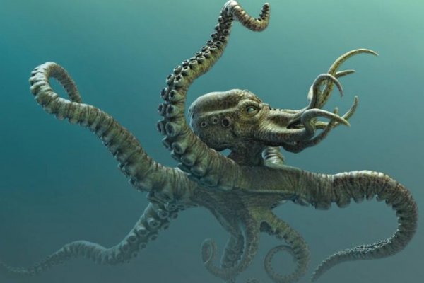 Kraken 2025 ссылка