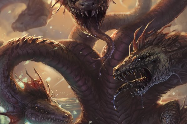 Kraken рабочий