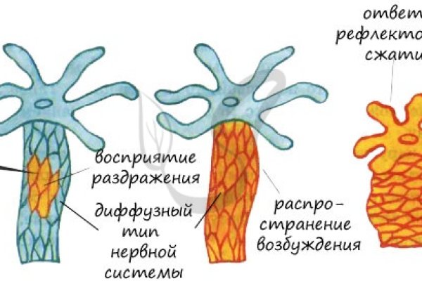 Кракен 17