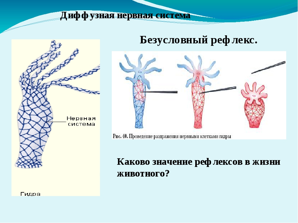 Kraken сайт покупок