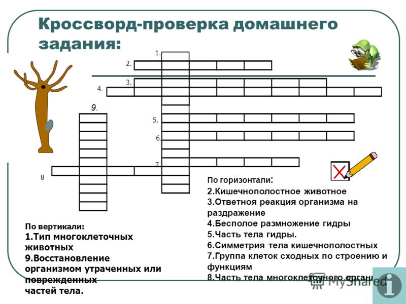 Кракен даркнет ссылка зеркало